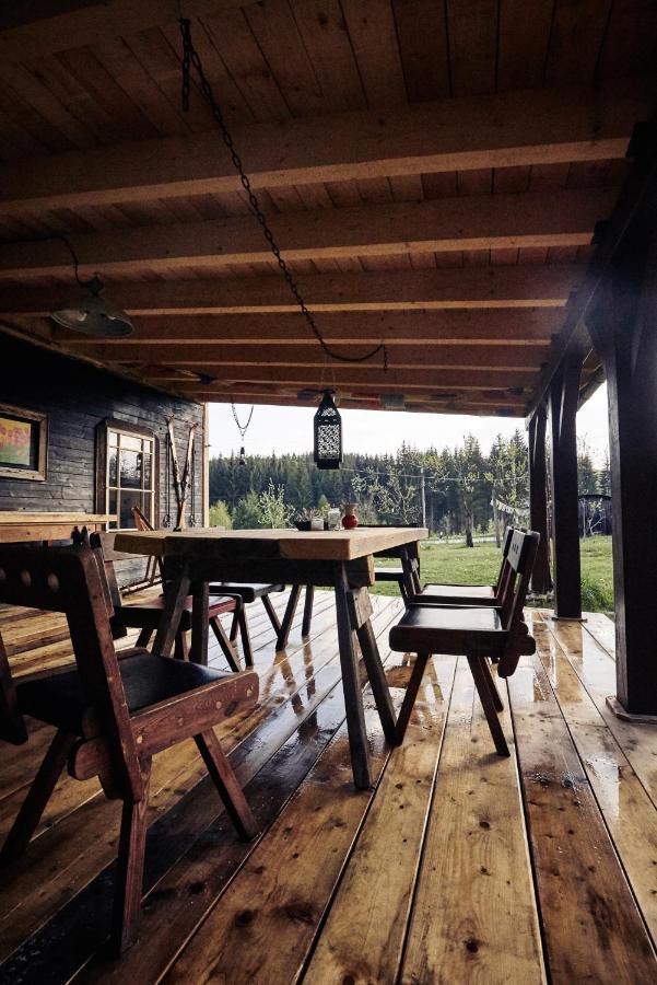 Villa Blickinsfreie - Cabin à Schöneck Extérieur photo