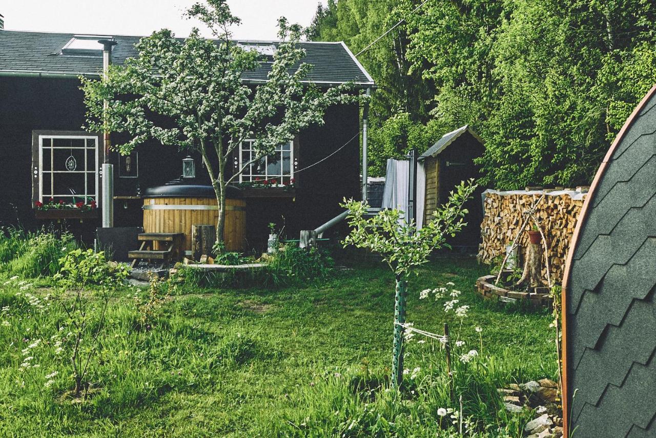 Villa Blickinsfreie - Cabin à Schöneck Extérieur photo