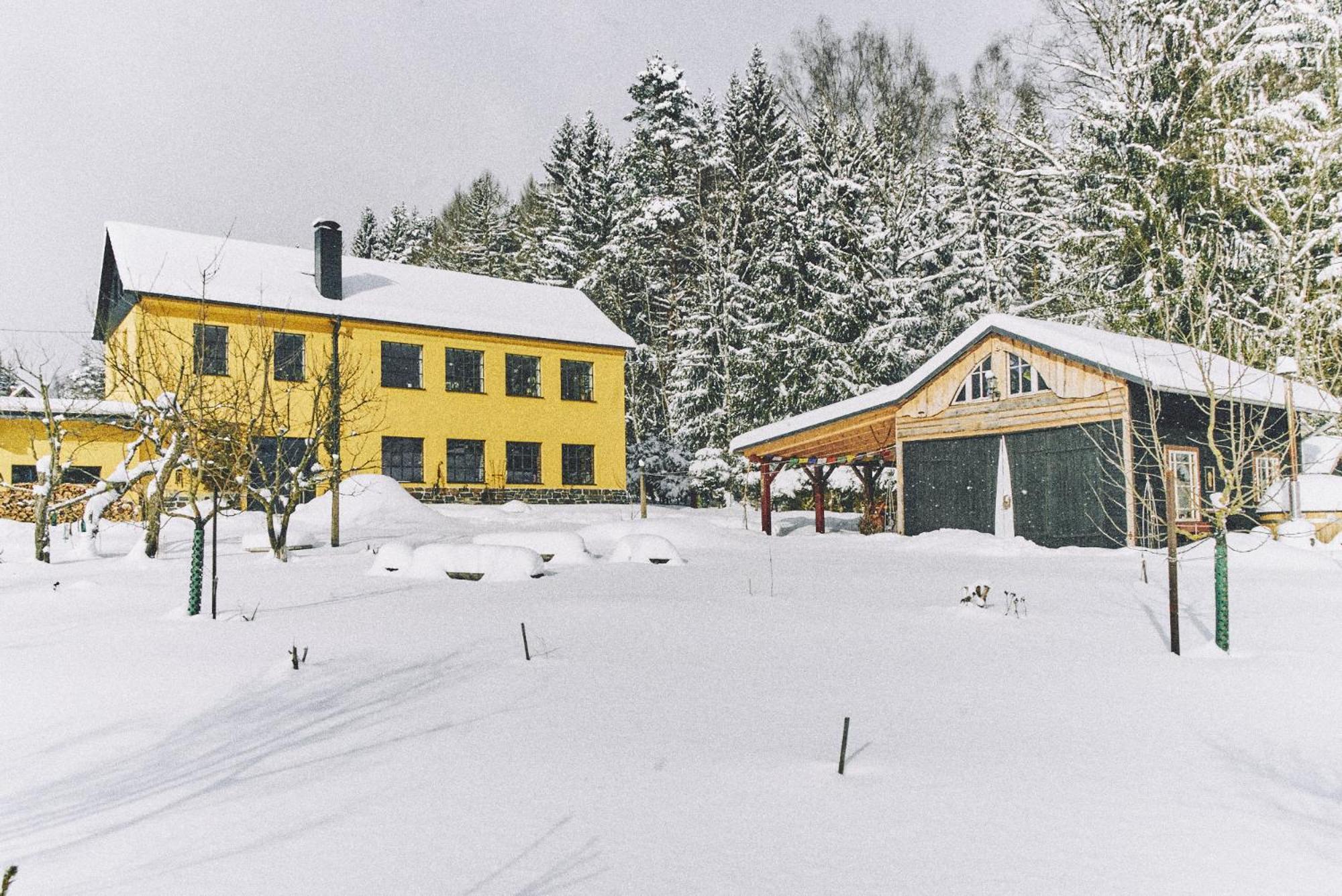 Villa Blickinsfreie - Cabin à Schöneck Extérieur photo