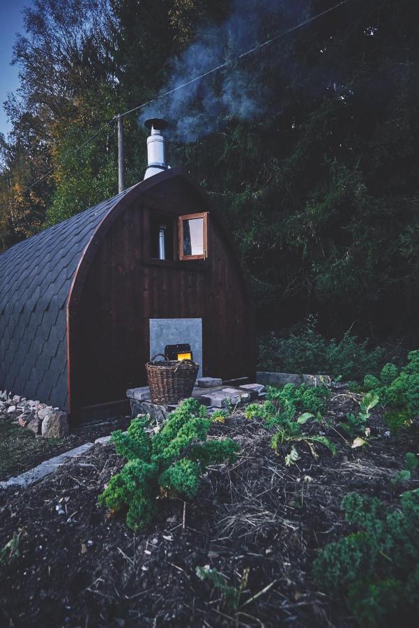 Villa Blickinsfreie - Cabin à Schöneck Extérieur photo